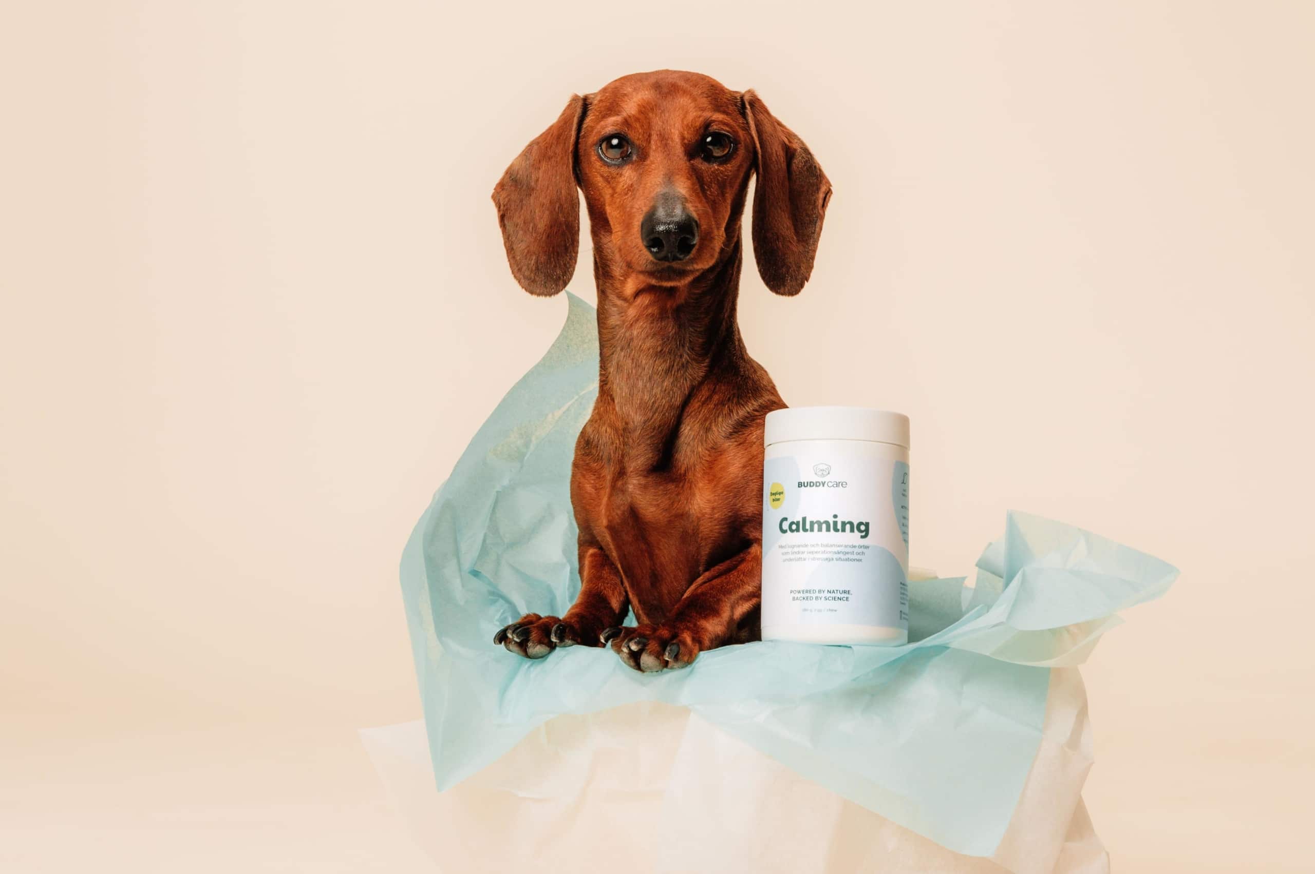 Buddypetfoods-0429